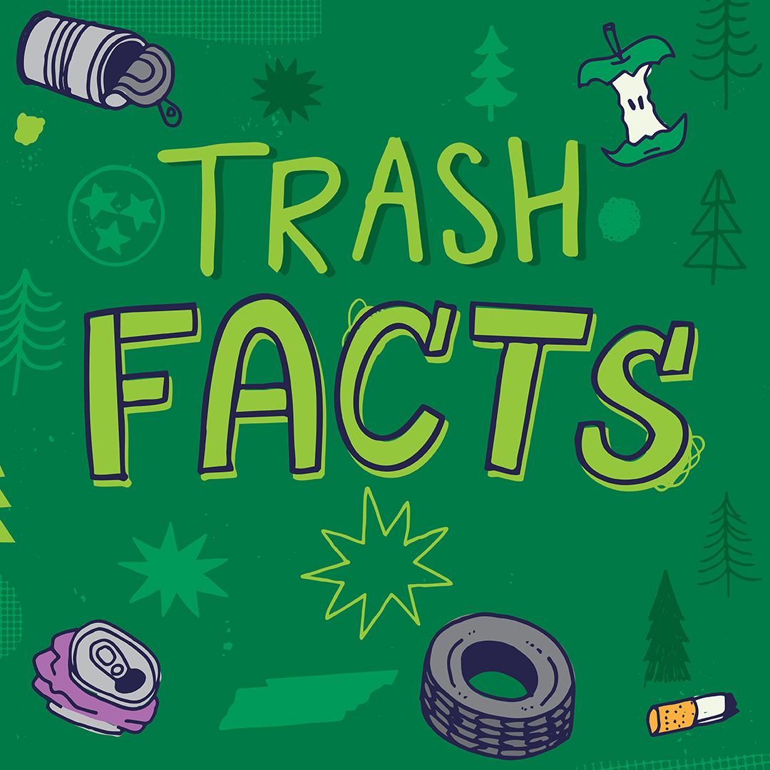 Fact: <a href="/myTDOT/">myTDOT</a> maintains 14,000+ miles of roadways in our state. 

That’s a lot of targets for litter. 

Let’s all do our part to #endlitter.

#NobodyTrashesTennessee