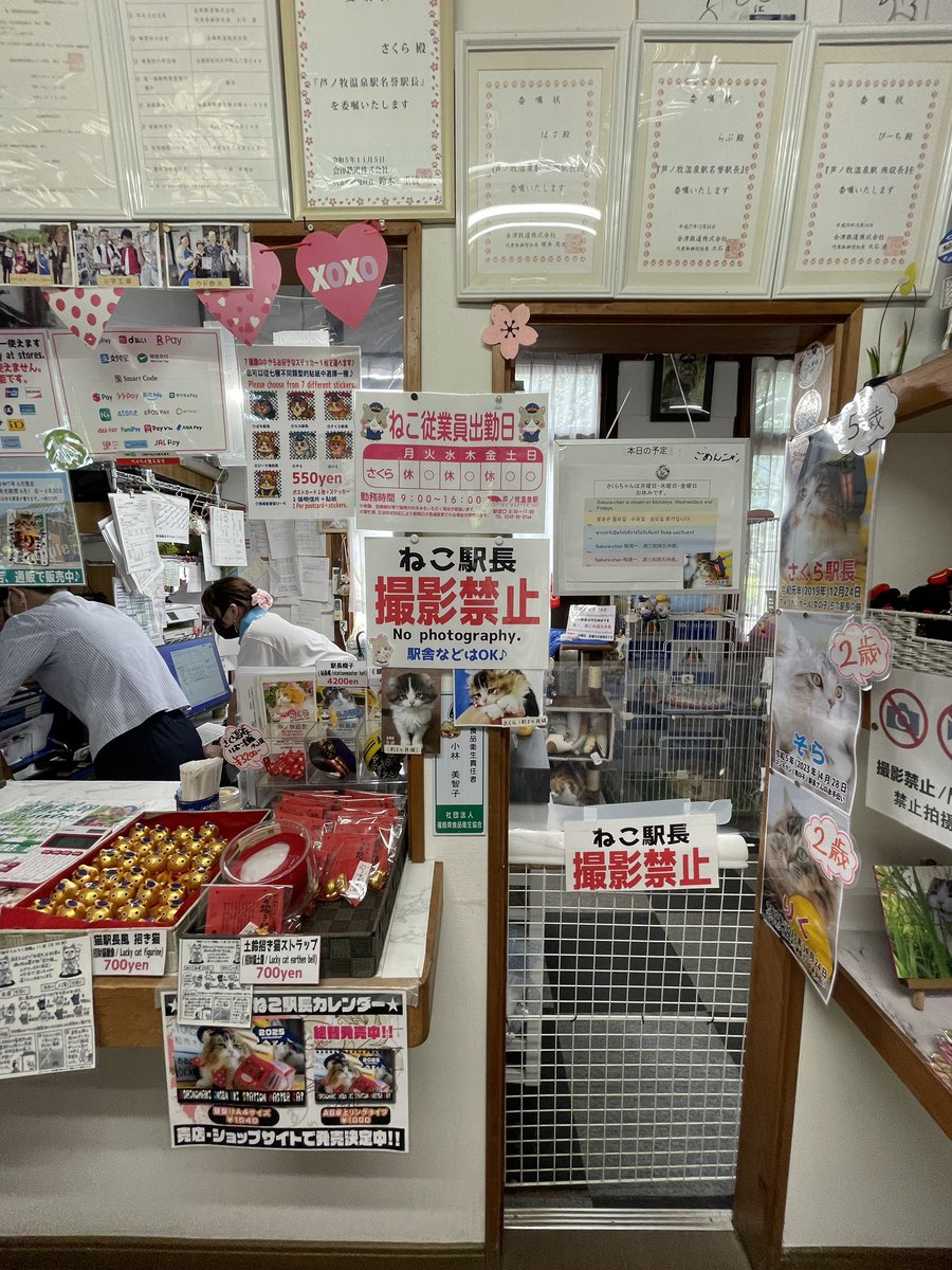 芦ノ牧温泉駅は猫の駅長で有名だったんだね。でも猫いない⋯今日は休日だって。残念。今度は出勤日を調べて来よう。すでに芸能人な猫たちだな