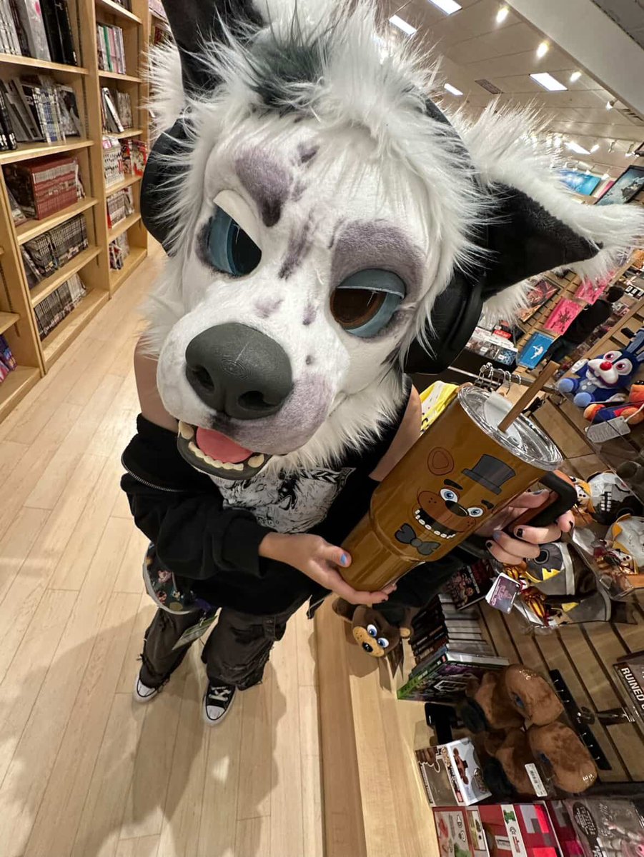 la1ko5tars's tweet image. heyhey!! this puppys going to Anthrocon!!!
pls do:
ask for photos and stuf!!
ASK to pick me up!! test your strength!!
pls dont:
follow me around
pick me up without asking
touch me or my suit without permission
i cant wait to see you all there!!!
wruff!!