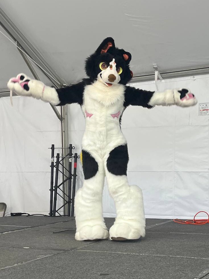 la1ko5tars's tweet image. heyhey!! this puppys going to Anthrocon!!!
pls do:
ask for photos and stuf!!
ASK to pick me up!! test your strength!!
pls dont:
follow me around
pick me up without asking
touch me or my suit without permission
i cant wait to see you all there!!!
wruff!!