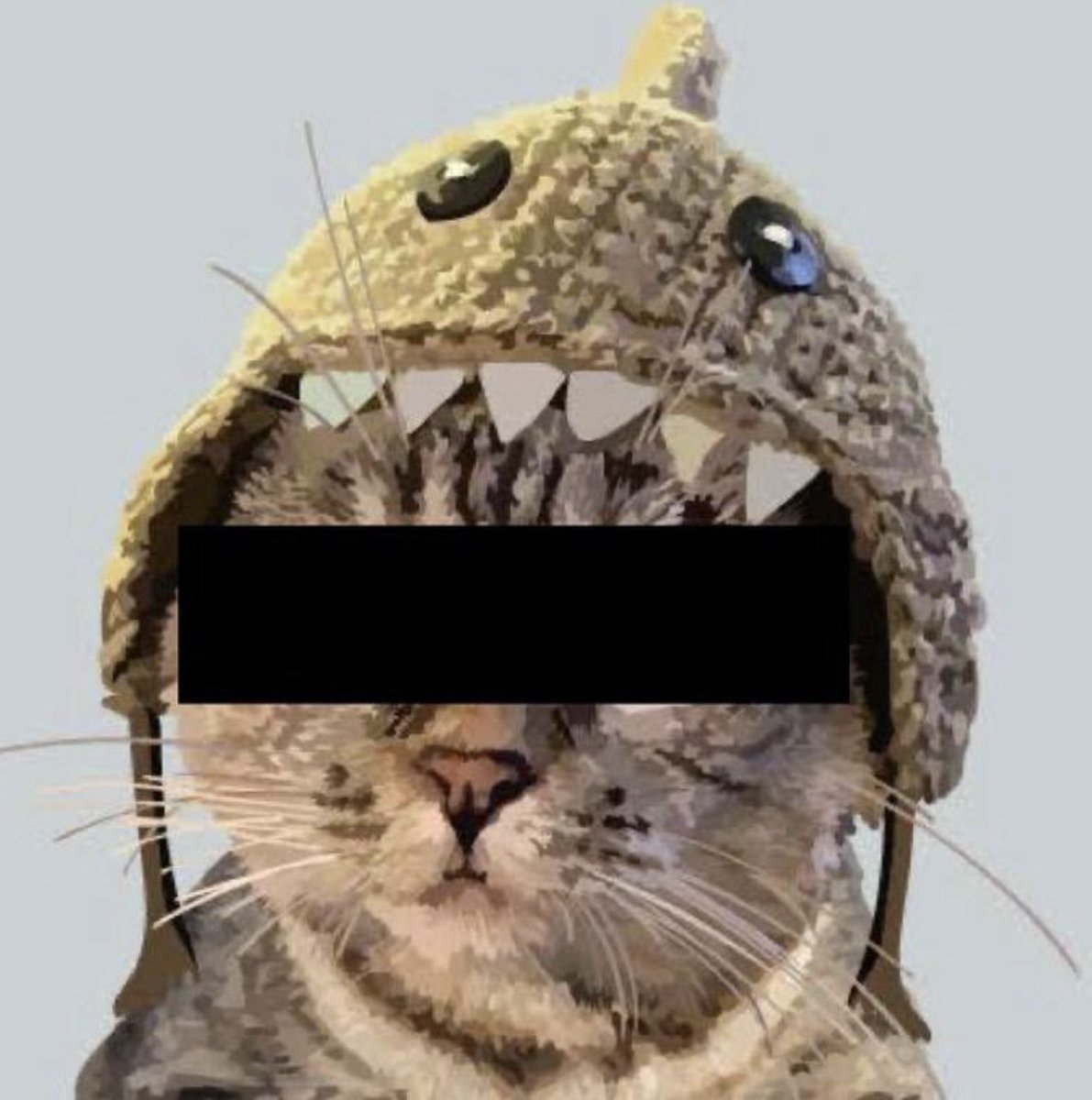 SharkCatSolana's tweet image. zee only kitty wif a mugshot 🦈😹