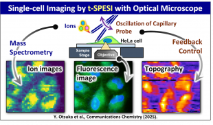[Research] A multi-institutional team led by The Univ. of Osaka has developed and provided proof-of-concept of a new technology to visualize the distribution of components within a single cell. (published in Communications Chemistry by Y. Otuska, et al.) sci.osaka-u.ac.jp/en/researchs/1…