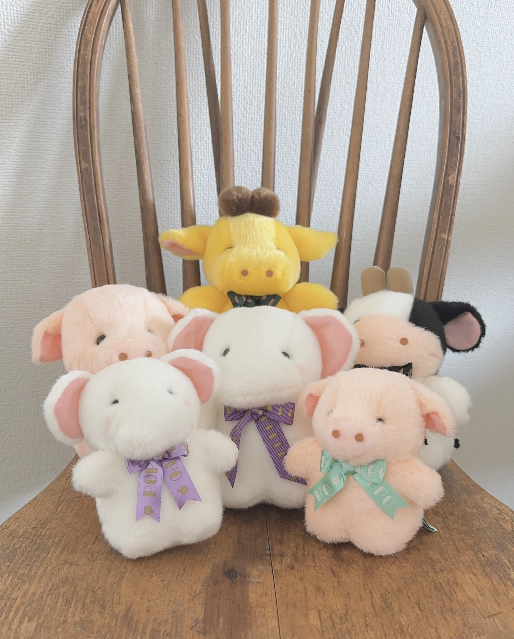 タケノコちゃん専用 タケちゃん監修