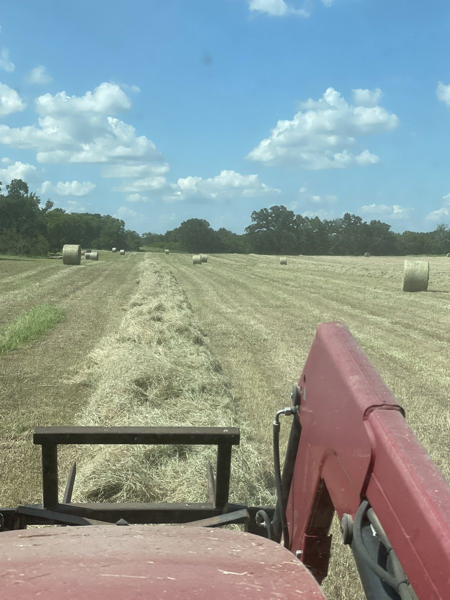 RCF_2008's tweet image. I think we are a third or so done with first cutting