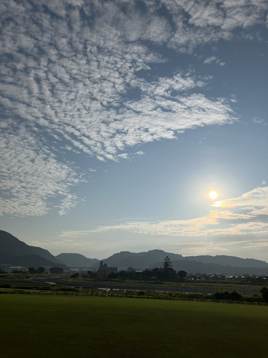 おはようございます♪
今日はお仕事お休みなので
朝5時から朝散歩🚶
気持ちいい風に吹かれて愛犬もなと
素敵な時間を過ごせました。
散歩中遭遇した5羽のカラス🐦‍⬛
ちゃんと仲良く並んで可愛かった❤️
＃愛犬散歩　#イマソラ　#朝散
#5羽のカラス