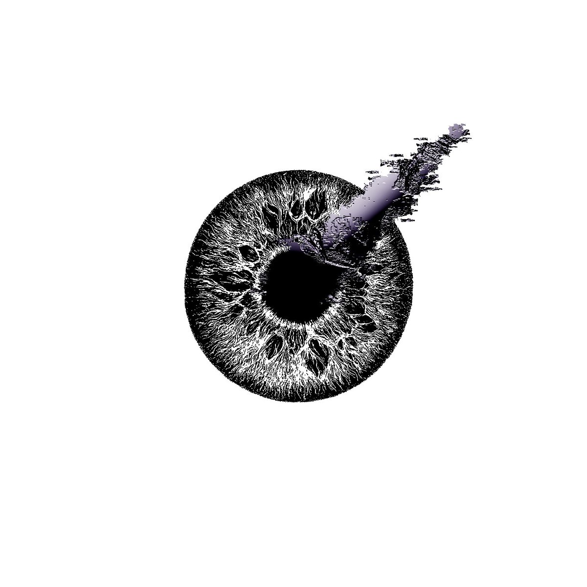 Born the 28/06/2025.