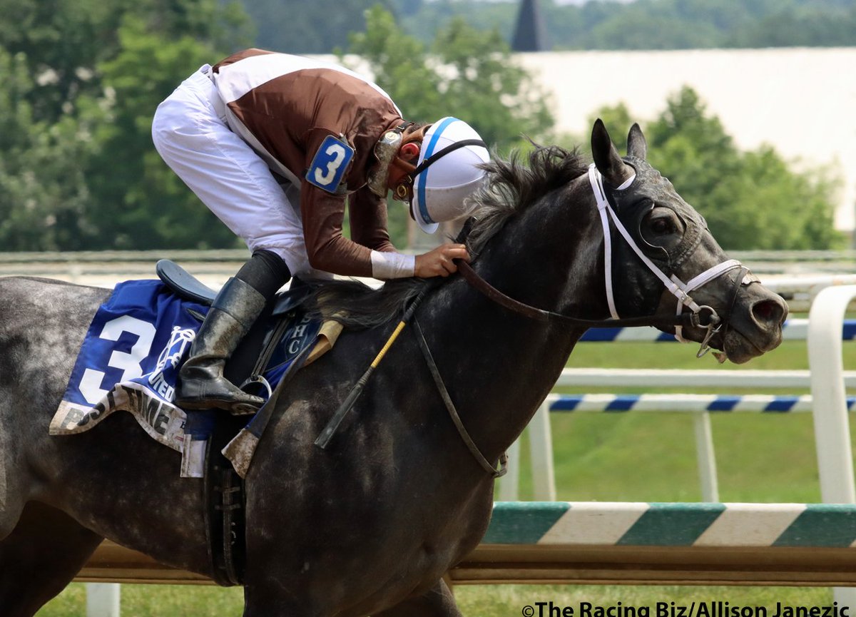 Prairie_Bayou's tweet photo. Post Time wins the Deputed Testamony Stakes. @SheldonRussell1 @BTRracingstable #horseracing #thoroughbred #horse #laurelpark #MarylandJockeyClub #ThoroughbredRacing #racing #marylandracing #marylandbred #posttime #jockey #racehorse https://t.co/6pbdLmCm1B