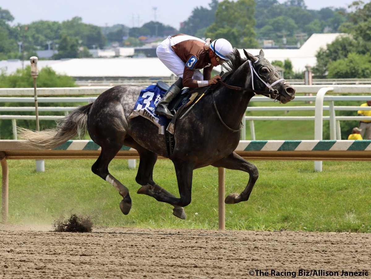 Prairie_Bayou's tweet photo. Post Time wins the Deputed Testamony Stakes. @SheldonRussell1 @BTRracingstable #horseracing #thoroughbred #horse #laurelpark #MarylandJockeyClub #ThoroughbredRacing #racing #marylandracing #marylandbred #posttime #jockey #racehorse https://t.co/6pbdLmCm1B