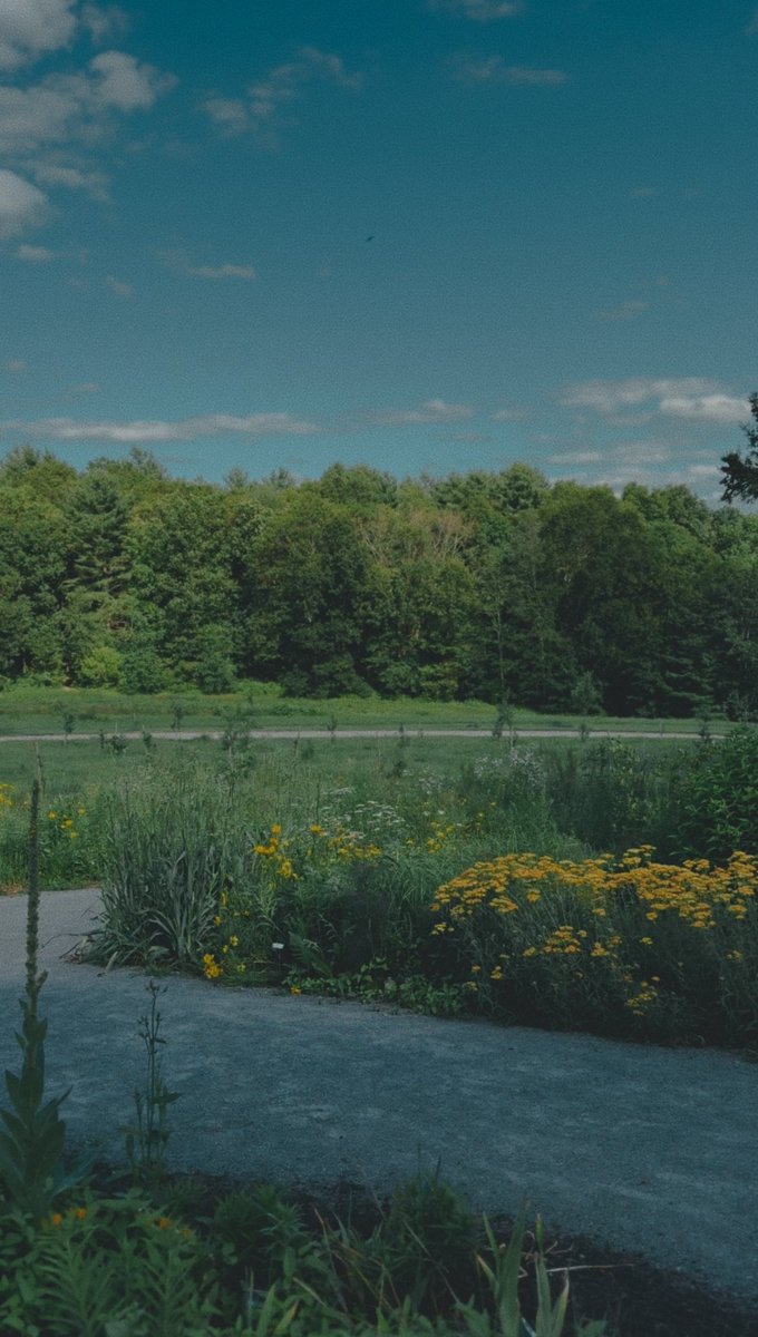 Brought my favorite <a href="/elgato/">Elgato</a> essentials into the wild to help me take amazing footage at the garden today 🍃🌱 #ElgatoPartner