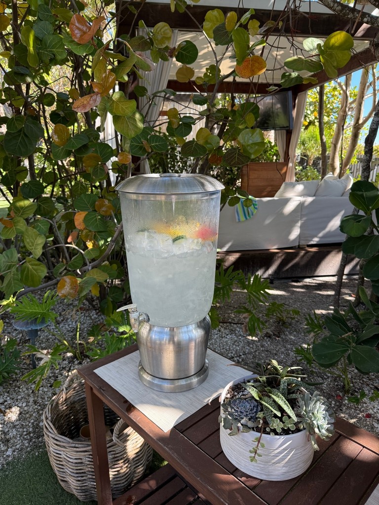 Sun ✔️ surf ✔️ serums ✔️ Make it a good lash and brow summer. 

l8r.it/eC1V