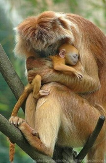 Benim gibi birisini bulamazsınız. Onun için tavsiye ederim , benden mahrum olmayın. Platon