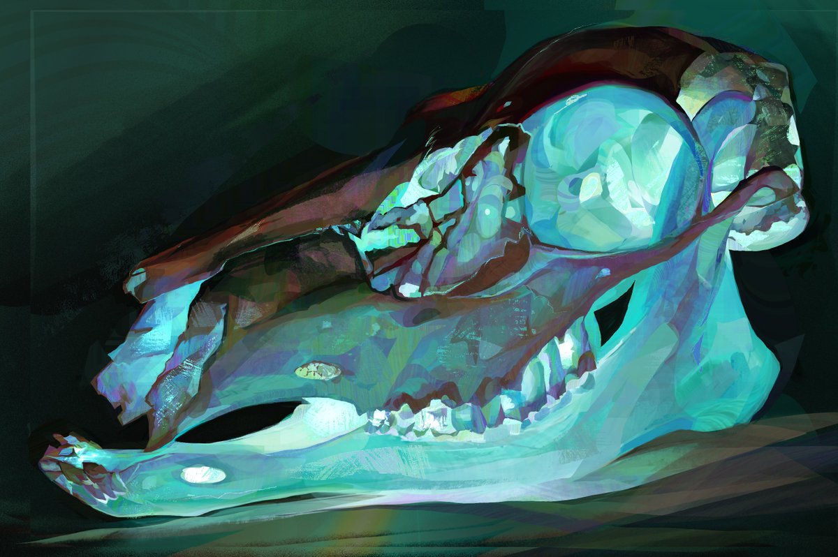 twulfs's tweet photo. The Ref / The Art https://t.co/YDhrdXuYQU