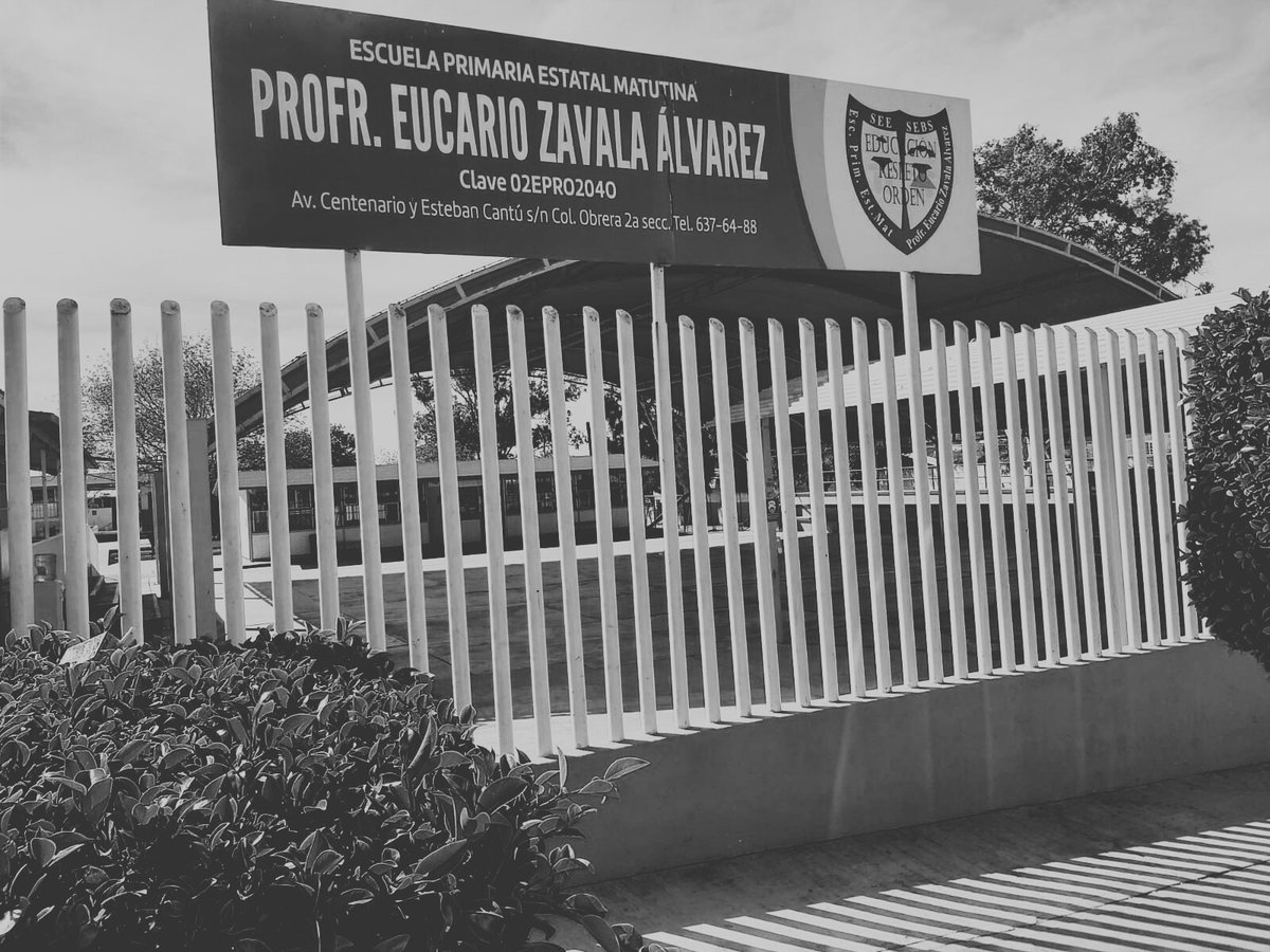 ElSenorRojo's tweet photo. La muerte del niño Martín Damián fue una tragedia.
Pero culpar al maestro Esteban con cárcel como si él lo hubiera matado…
Eso no es justicia.
Eso es cobardía disfrazada.

🧵 Abro hilo. https://t.co/vI4qLns07D