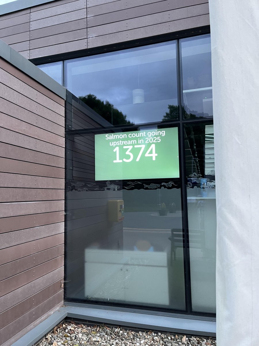 Ladder count 1374
Water temp. 62F ( 16.7C)
Sunday 29/6/25    21:52 BST