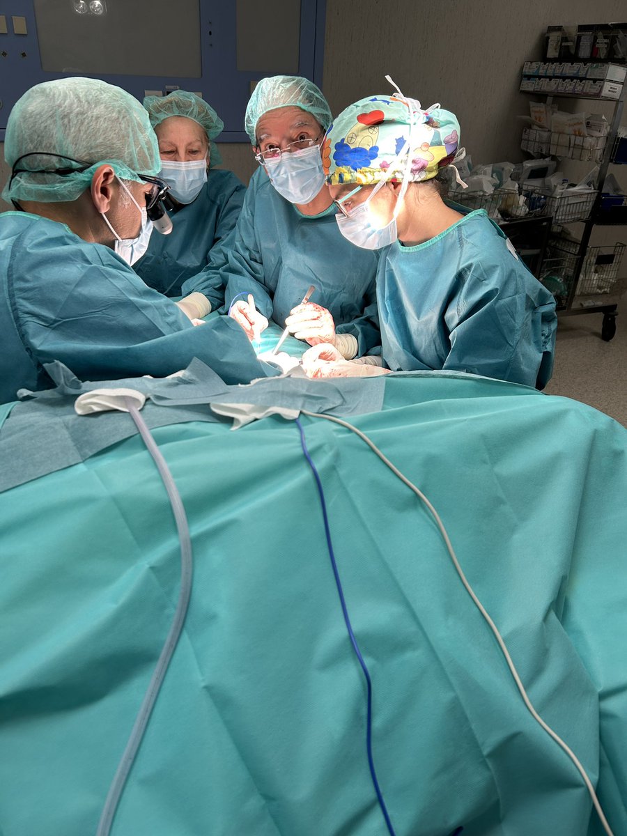 Eduardo Ortiz Cruz (@drortizcruz) on Twitter photo Mañana 30 de junio 2025, concluye #CLINICALFELLOWSHIP (6a promoción) #CirugíaOrtopédicaOncológica Dra. Lidia De La Cruz, en el #HospitalLaPaz. Ha destacado por su dedicación, excelencia profesional y calidad humana <a href="/IdiPAZScience/">IdiPAZ</a> <a href="/secotsecot/">@secotsecot</a> <a href="/SelnetH2020/">Sarcoma European LatinAmerican Network (SELNET)</a> <a href="/orthobullets/">Orthobullets</a> #sarcoma Mañana 30 de junio 2025, concluye #CLINICALFELLOWSHIP (6a promoción) #CirugíaOrtopédicaOncológica Dra. Lidia De La Cruz, en el #HospitalLaPaz. Ha destacado por su dedicación, excelencia profesional y calidad humana <a href="/IdiPAZScience/">IdiPAZ</a> <a href="/secotsecot/">@secotsecot</a> <a href="/SelnetH2020/">Sarcoma European LatinAmerican Network (SELNET)</a> <a href="/orthobullets/">Orthobullets</a> #sarcoma