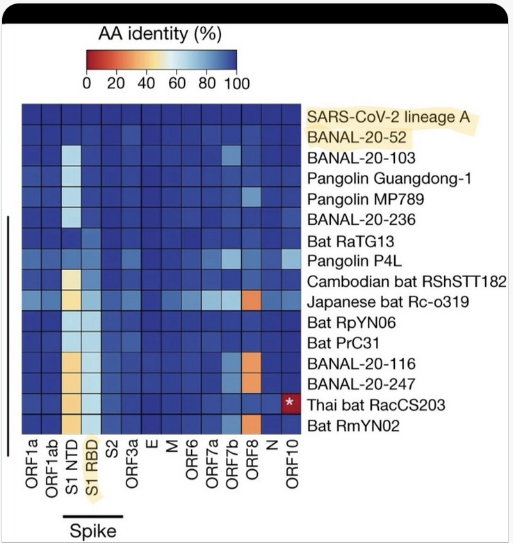 Dr. Rachel Roper tweet media