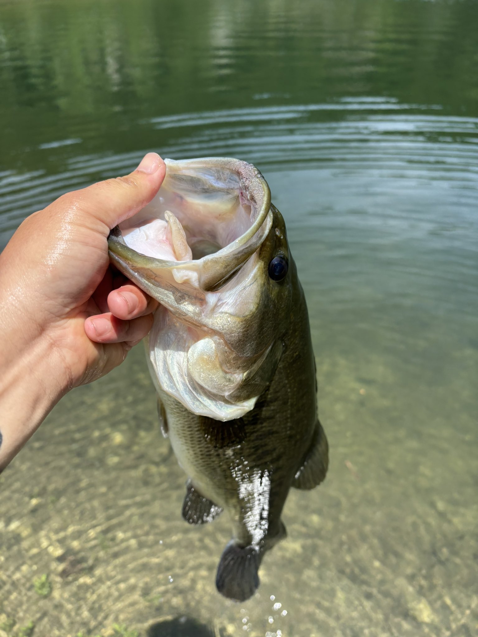 釣り人 魚にもっと向き合える活動をしたい！Angler Yusuke.｜女川町