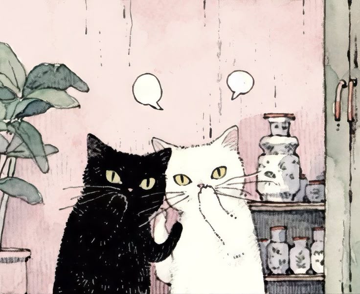 only cute things (@cutedreamvibes) on Twitter photo 