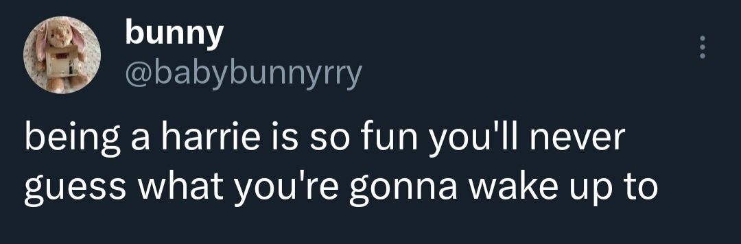bunny tweet media