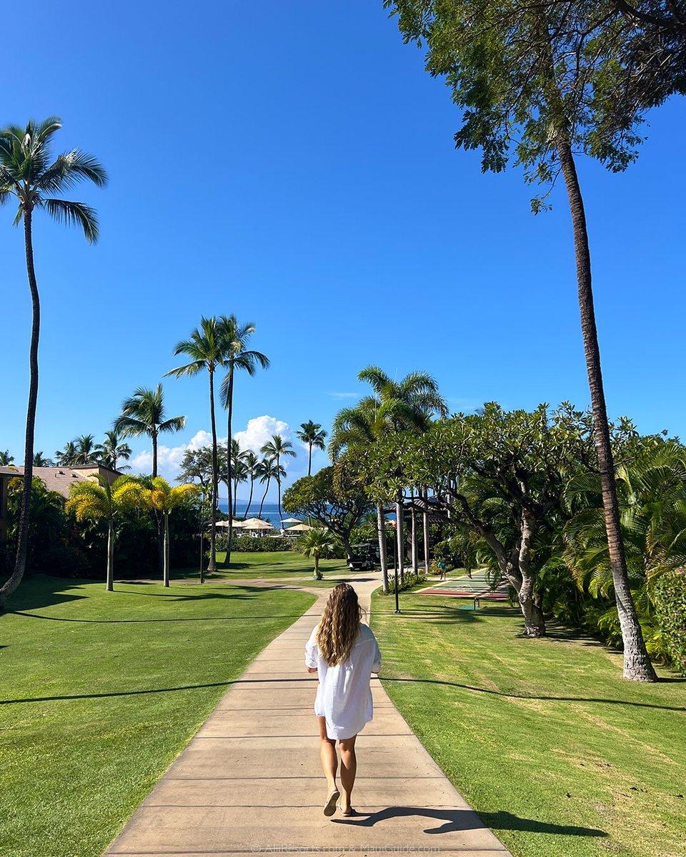 AliiResorts's tweet image. Wailea Ekahi Village sits on 34 acres of tropical gardens with direct access to Keawakapu Beach.

Book directly with Aliʻi Resorts for the best rates and local guest support.
Call us today at (808) 879-6284.

#BookDirect #WaileaEkahi #MauiCondo