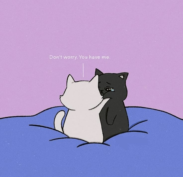 cutedreamvibes tweet picture