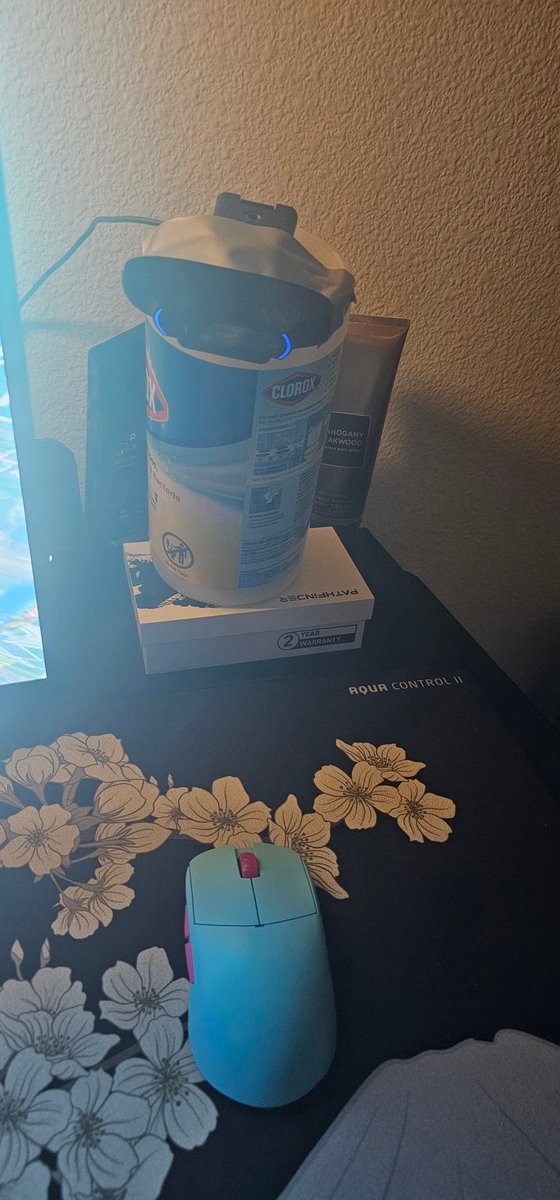 makeshift Webcam set up