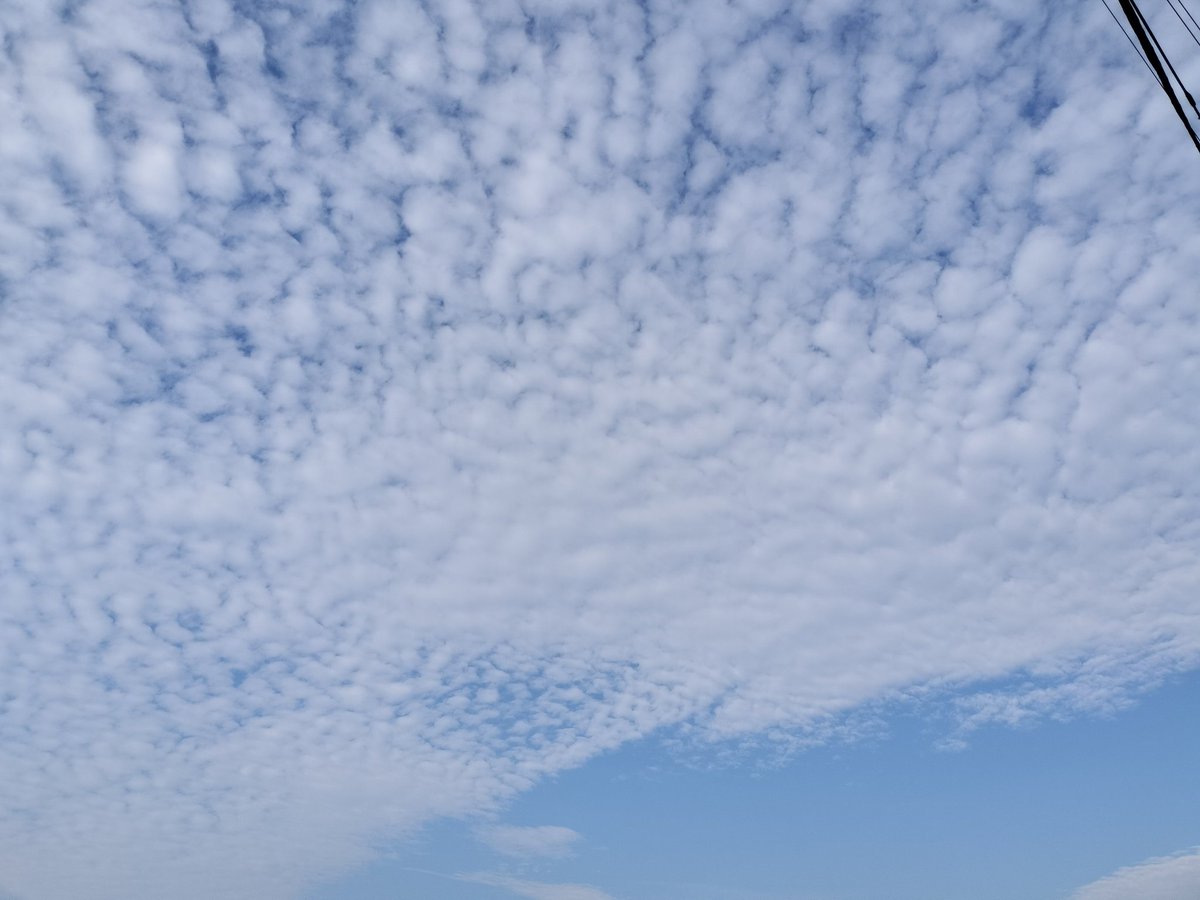 おはようございます　今日は月曜日なのに珍しく朝起きれました😅
天気は晴、心は曇ですかね🤔
父が死にそうなので急遽実家に帰ることになりそうです😥
仕事は後1.5年続けたら辞めて好きな事して生きようと思います😵
とりあえず元気なうちに海行きたい🥹