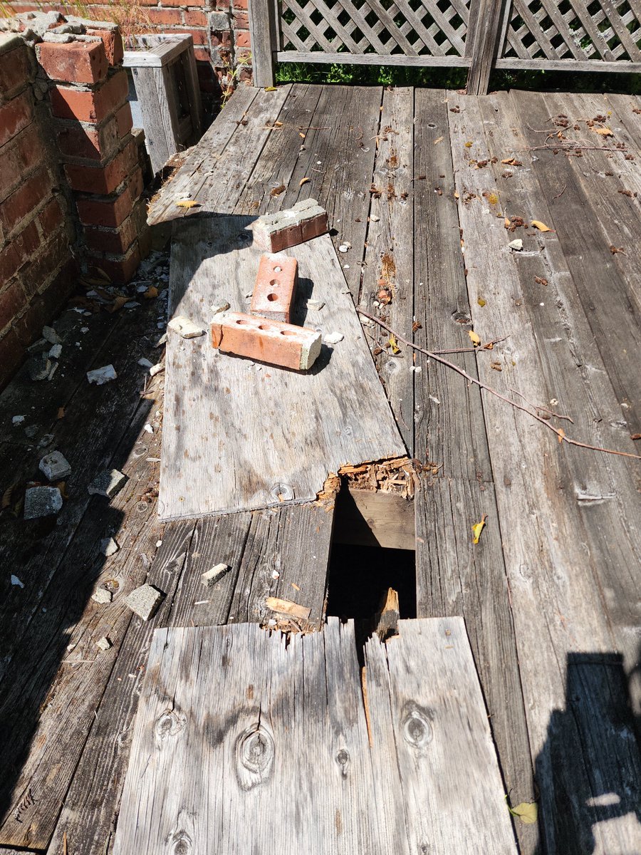 landminetech's tweet photo. Sometimes you fall through a decrepit deck while walking to your garden built in the ruins of an old home. It happens when you're living #FalloutStyle https://t.co/9LGqZX0WVP