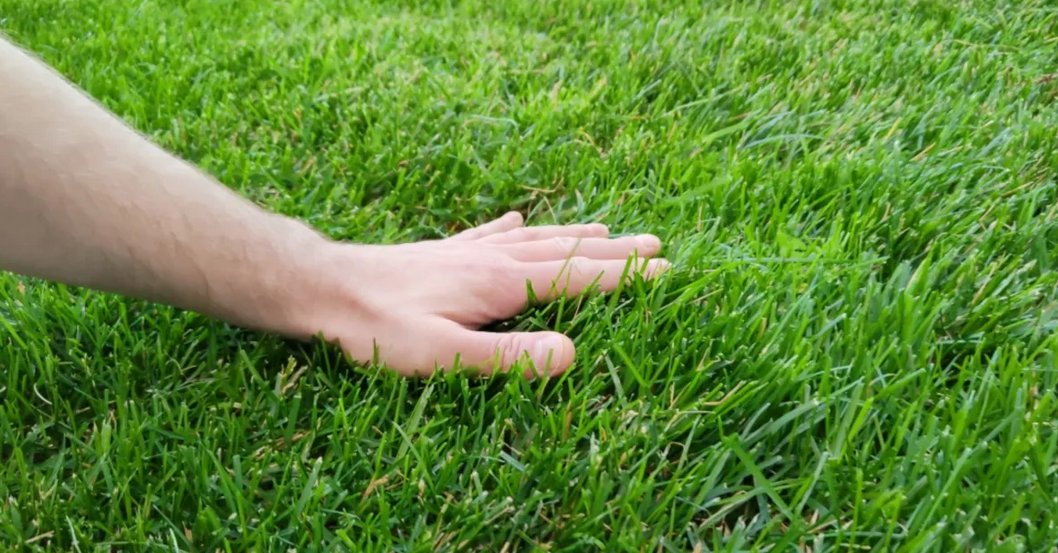 Touch the grass
#openseatouchgrass #opensea
<a href="/opensea/">OpenSea</a>