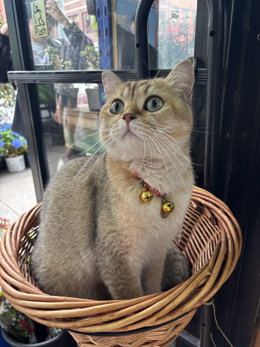 strbrybb's tweet image. 