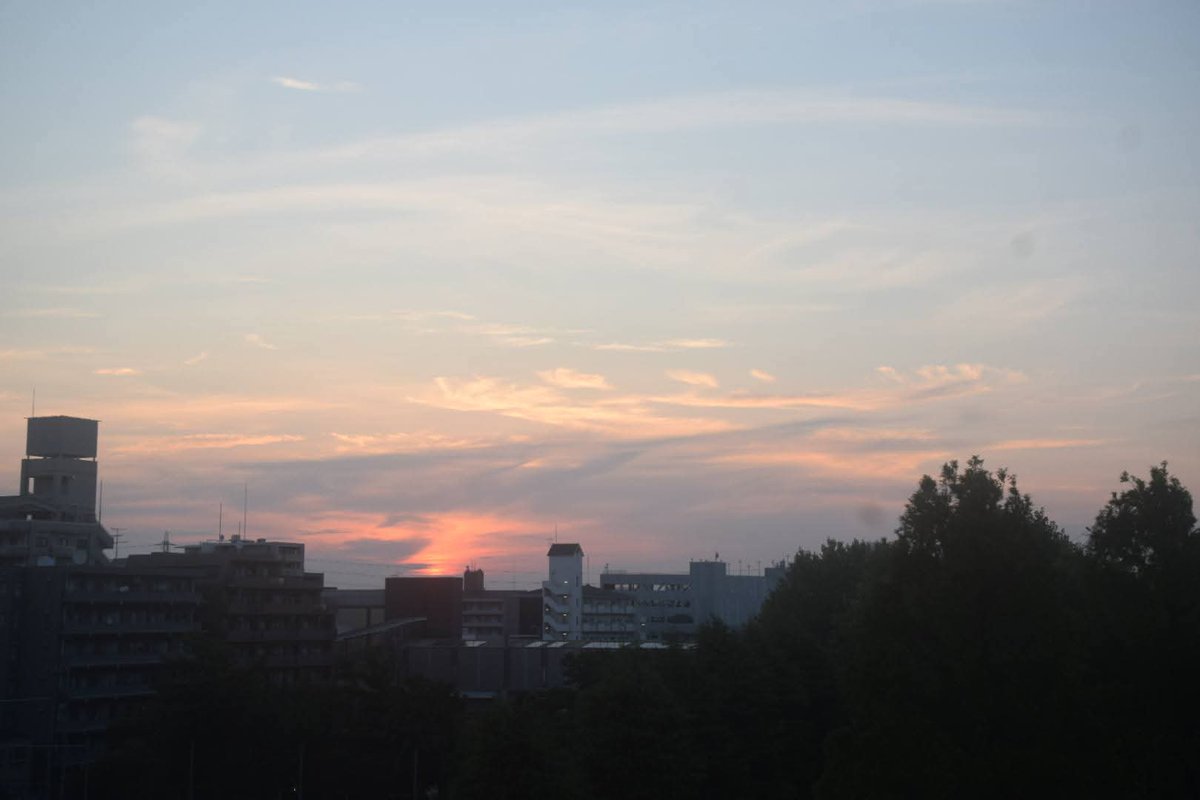 AoiBigbear's tweet photo. おはようございます。🍀🐻
週明け月曜、今朝の都内下町のお空。
曇やや多めも、お日様登場!🌅🥰
今日も熱中症にご注意を… https://t.co/1gOy2XTqsv