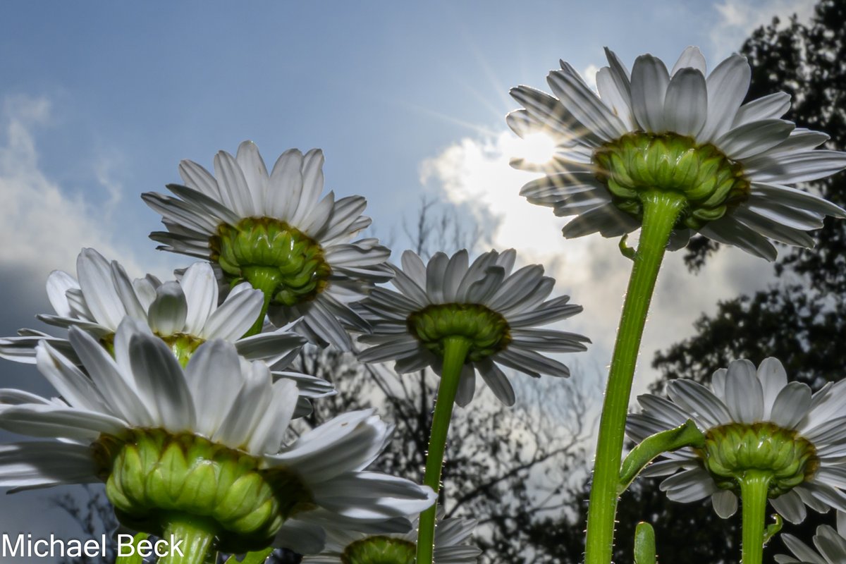 It's just like this today.