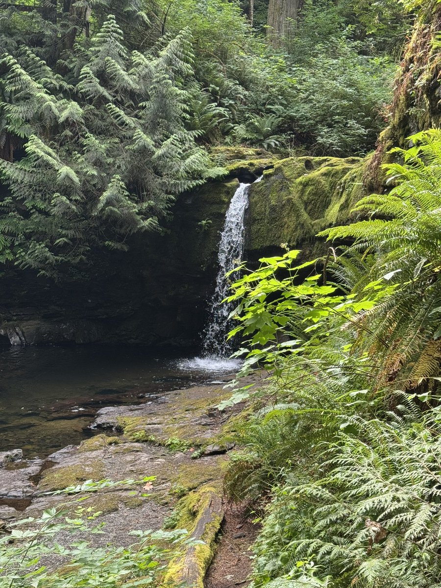 TrailASMR's tweet image. This little waterfall is tucked away in the lush greens of Stocking Creek 🌿✨ Peaceful trails, mossy rocks, and nature’s soundtrack. Want to see more?
🎥 youtu.be/sUQNIuc84-c?si…

#WaterfallVibes #SecretSpots #StockingCreek #VancouverIslandHikes #ASMRNatureWalk #ChipTheDog