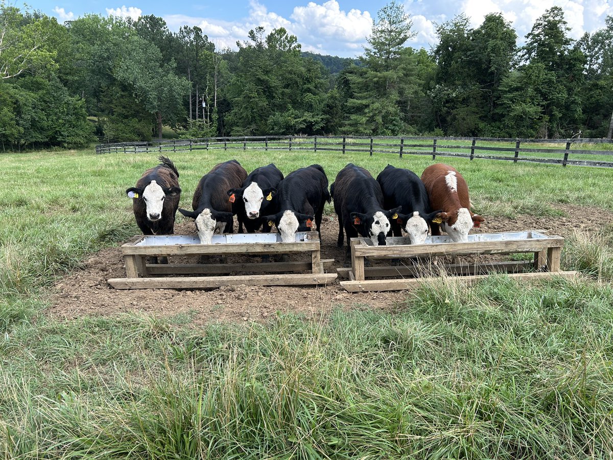 Eat up boys and girls