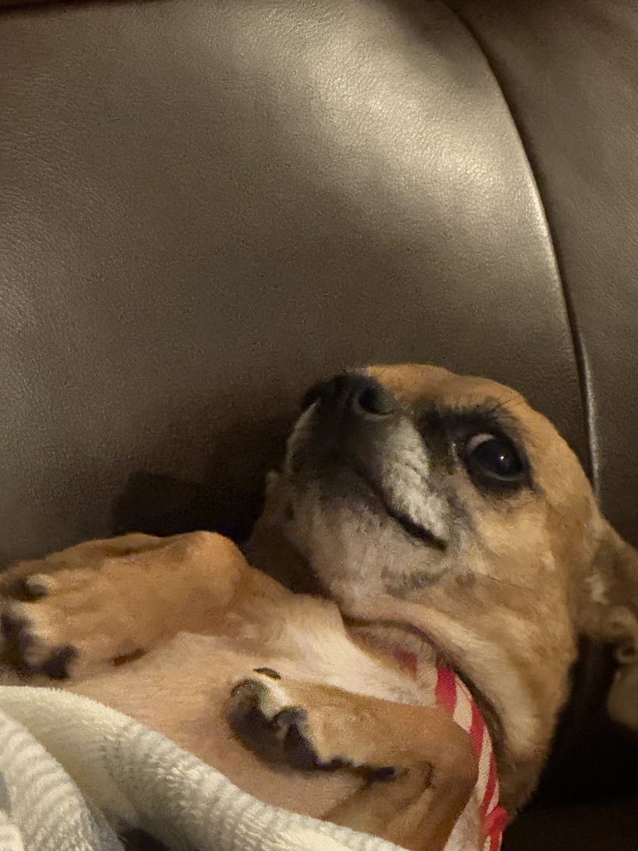 Nazeeh Tarsha (@nazeehtarsha) on Twitter photo 