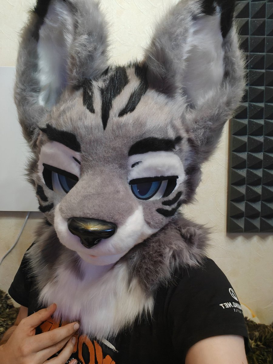 TheRaccoonCat tweet media