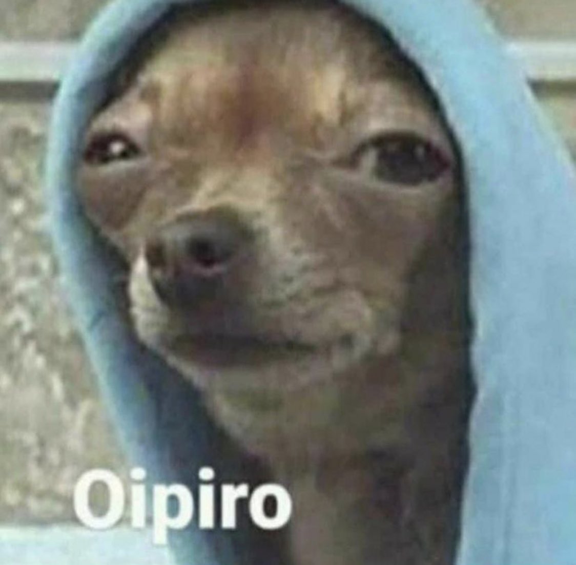 Este lunes amanecerá con 3°C de temperatura.