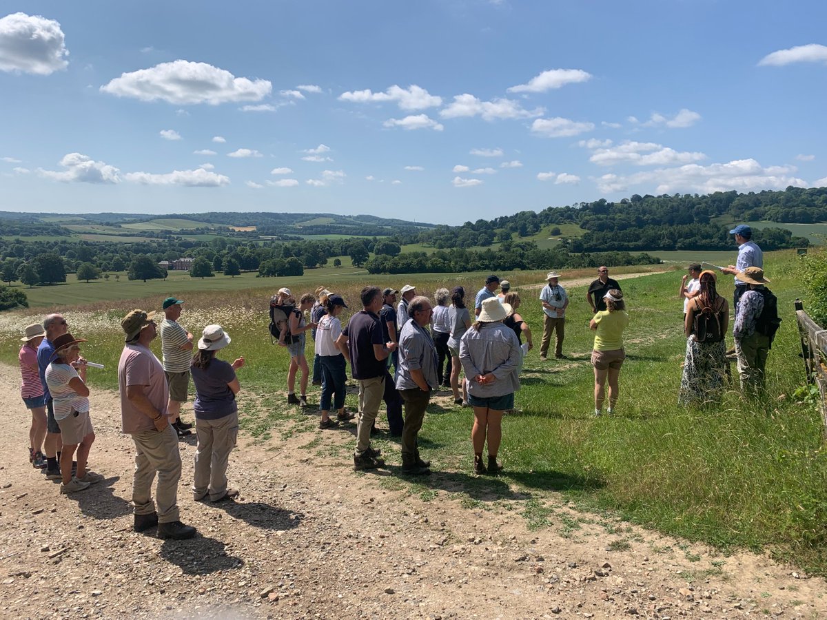 kentdowns6's tweet image. Big thanks to Ben & team at Godmersham for hosting our East Kent Downs landscape recovery farmer group barn owl walk & talk. Great to see superb mix of created, restored & intact habitats delivering for barn owl, lapwing, kentish milkwort, adonis blue, black veined moth, adder...