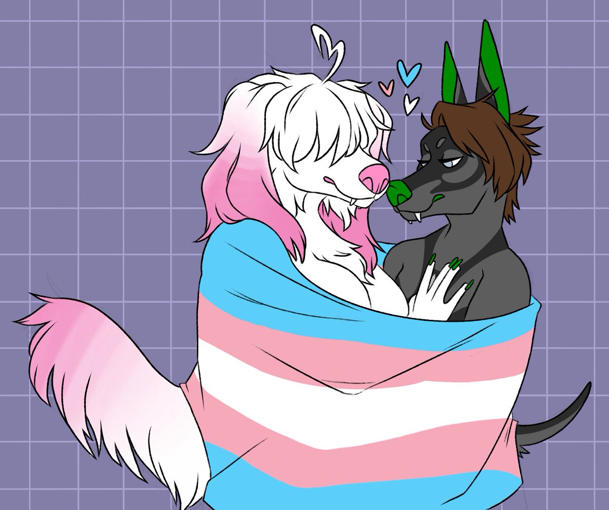 thatfurryloser's tweet photo. Gorgeous art from @timaeusTigart for me and my partner. This is their first pride piece! Excited to commission more next year and see how far we've gotten with their journey https://t.co/lwaWwTB1O6