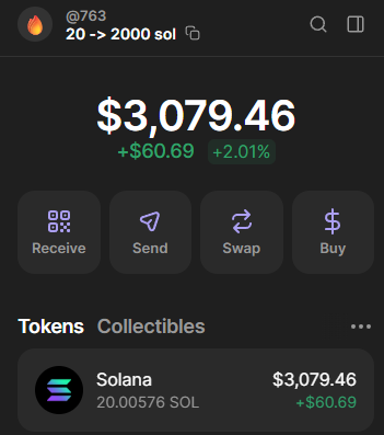 chefboyardli's tweet photo. 6 months left in the year going to attempt to run this up to 2000 sol using @PastelAlpha and a wallet tracker https://t.co/jhcjyER2cd