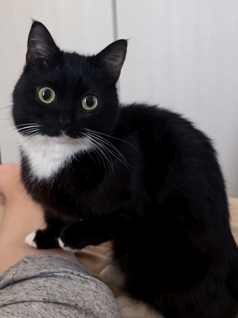 指圧で起こしてくれる☀️