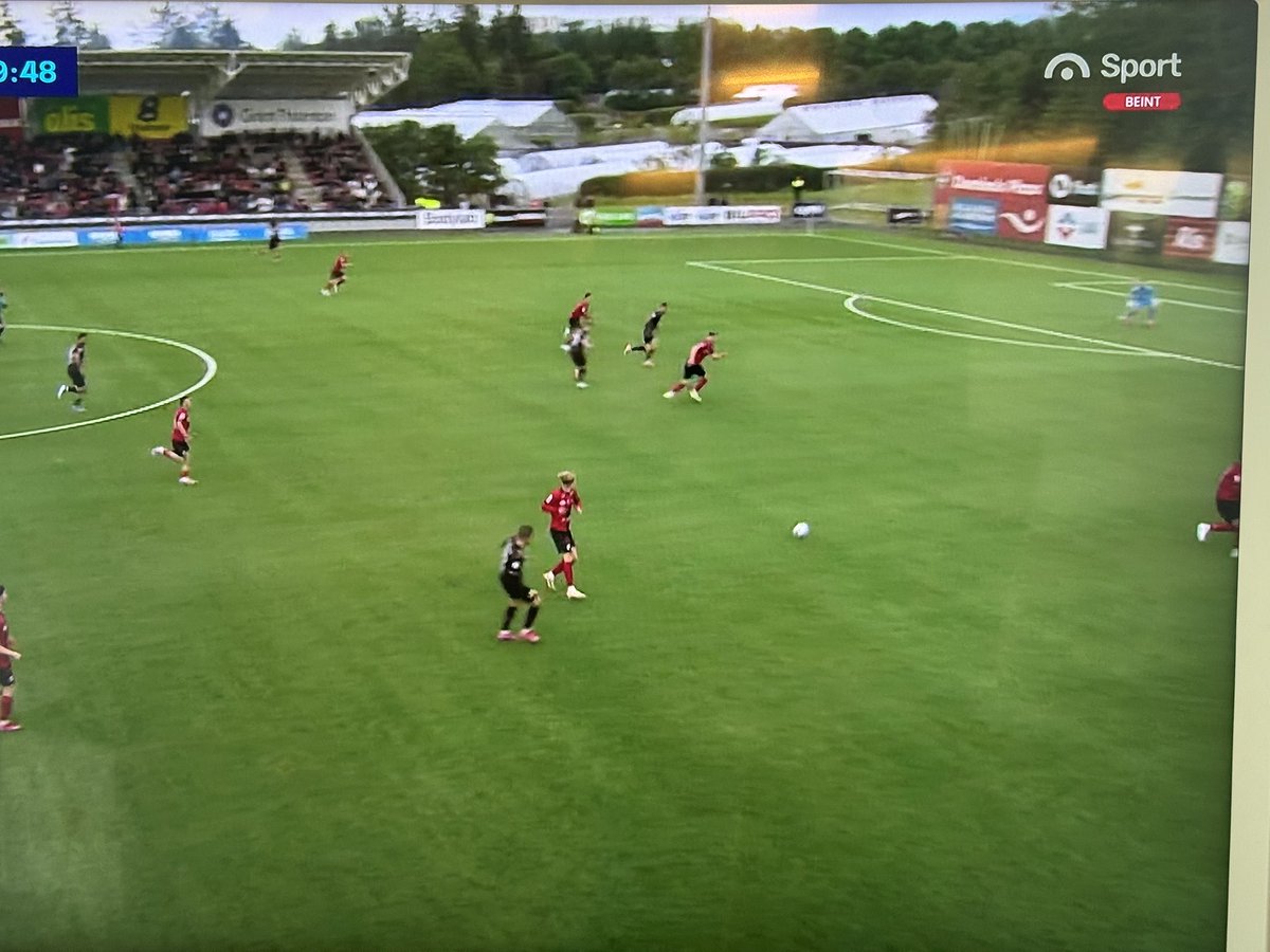 David Steinn tweet media