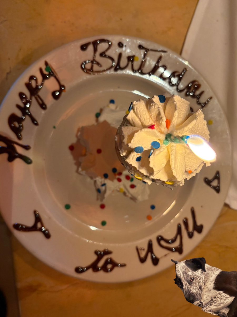 lani 𓂃 tweet media