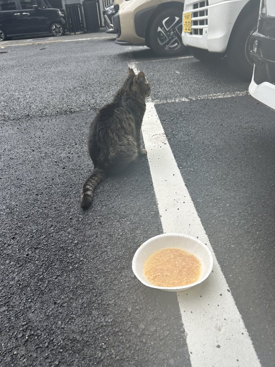 「わかるよ」って、そっと手を添えてもらうことを切実に求める。「わかるよ」って、そっと手を添えたいと切実に願う。ひとの気持ちは同じだけわかることが不可能だからこそ、「わかってほしい」「わかりたい」と、もどかしくも心が動く。私の人生はそれが全てだったかも知れない、と感じた今日の朝。