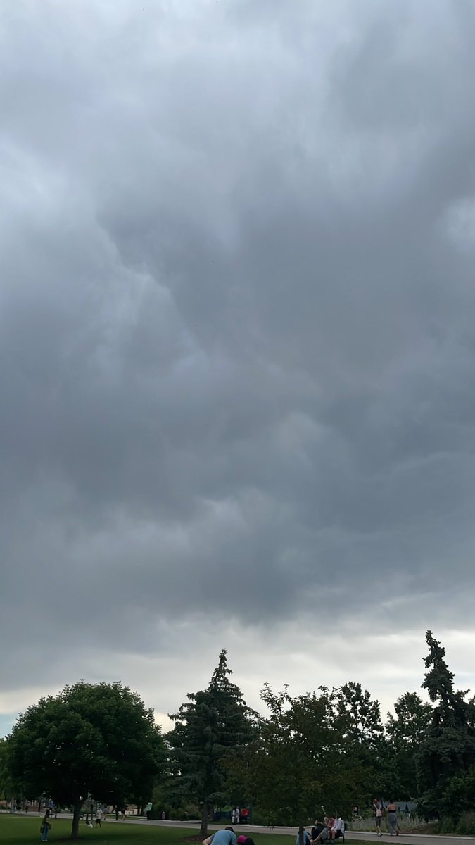 “Oh yeah it’s Pokémon Go Fest, I should go to the park” … it’s starting to rain…