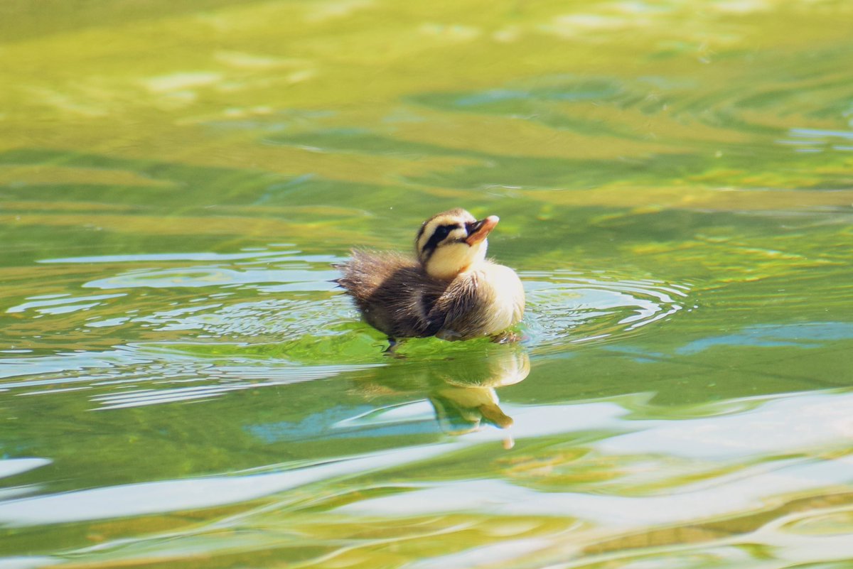 ちょっと偉そうでかわいい