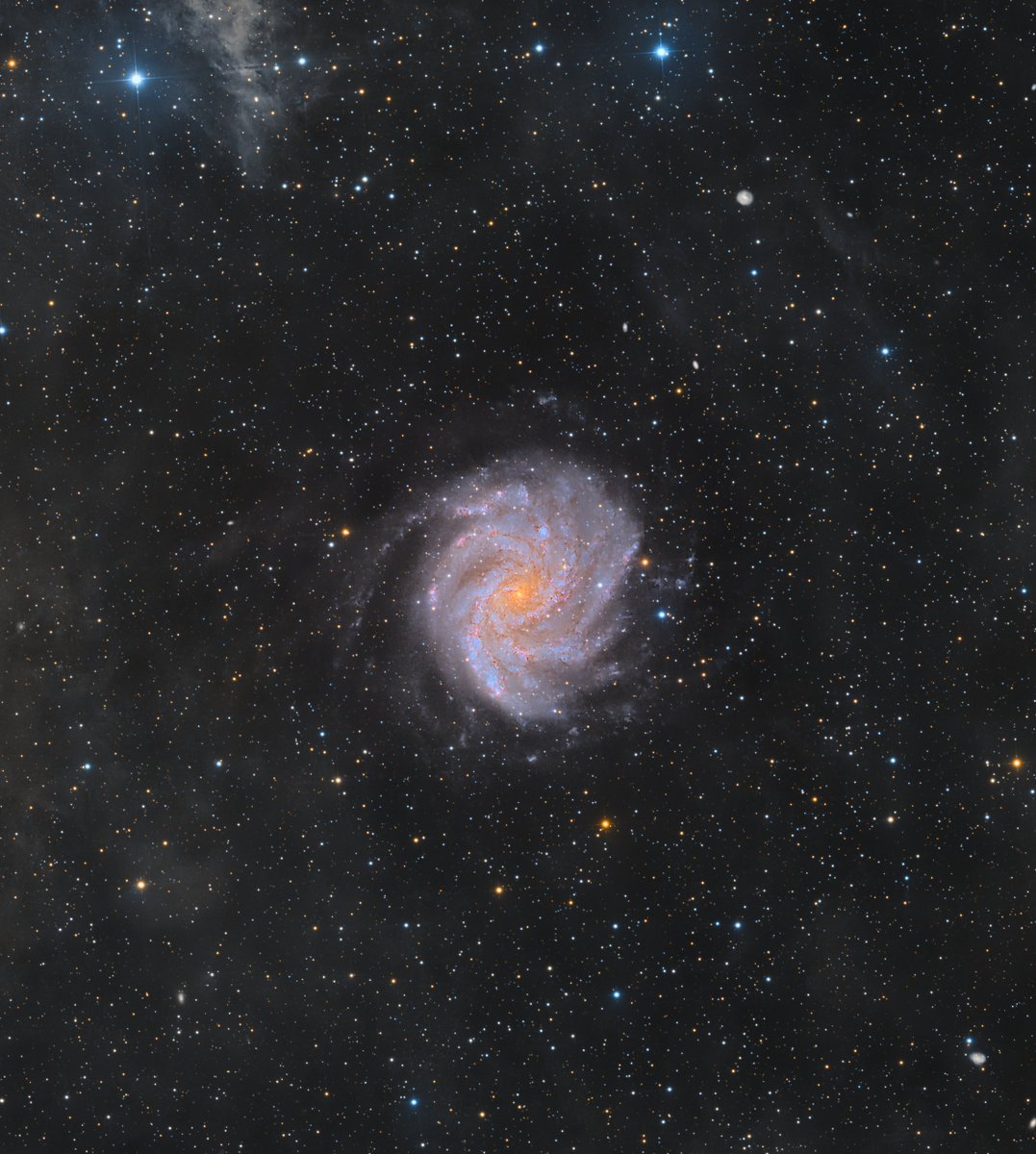 chucksastropho1's tweet image. Here is my latest capture - the Fireworks Galaxy.  It gets that name because of the high rate of Supernovae (star explosions) observed, 10 times more than in our Milky Way galaxy.    

Celestron RASA telescope
ZWO ASI533MC camera
Antlia L-Filter
Starfront Observatories, TX