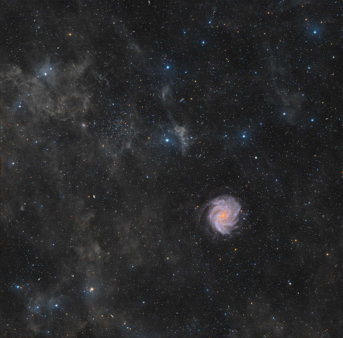 chucksastropho1's tweet image. Here is my latest capture - the Fireworks Galaxy.  It gets that name because of the high rate of Supernovae (star explosions) observed, 10 times more than in our Milky Way galaxy.    

Celestron RASA telescope
ZWO ASI533MC camera
Antlia L-Filter
Starfront Observatories, TX