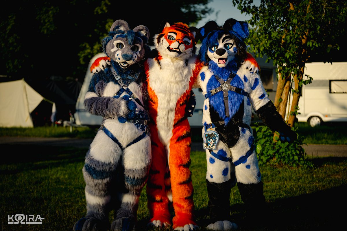 🦁🐯🐶
<a href="/KhatuLion/">Khatu ❄️</a> 
<a href="/Lucanio_/">Luca Tiger 🇩🇪</a>