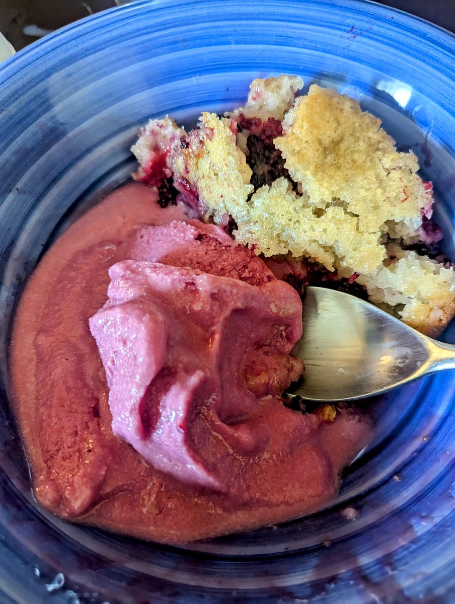 This wasn't dessert, it was an experience. Wild blackberry cobbler &amp; wild blackberry ice cream from raw milk. Laaaawd!